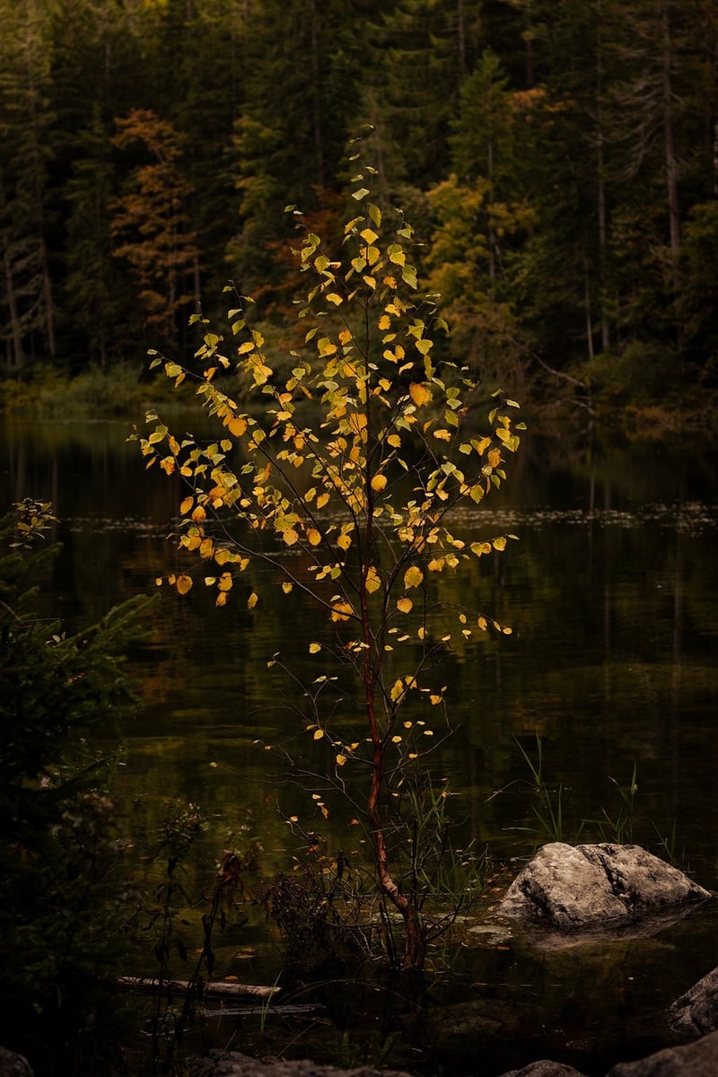 Vertical Plants
